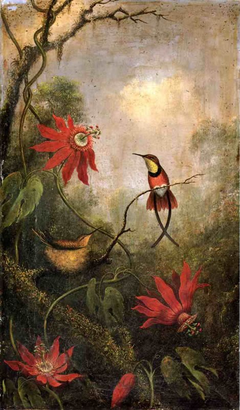 Martin Johnson Heade Passion Flowers and Hummingbirds 2